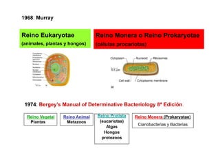 1968: Murray


Reino Eukaryotae                 Reino Monera o Reino Prokaryotae
(animales, plantas y hongos)
( i l       l t      h     )     (células
                                 ( él l procariotas)
                                              i t )




 1974: Bergey’s Manual of Determinative Bacteriology 8ª Edición.

  Reino Vegetal   Reino Animal   Reino Protista   Reino Monera (Prokaryotae)
   Plantas         Metazoos       (eucariotas)
                                                   Cianobacterias y Bacterias
                                     Algas
                                    Hongos
                                   protozoos
 