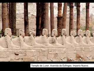 Templo de Luxor. Avenida de Esfinges. Imperio Nuevo.
 