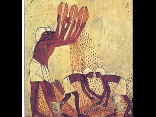 Tema 2 egipto
