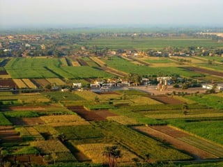Tema 2 egipto