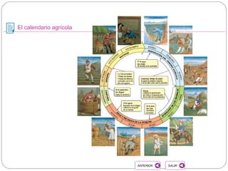 El calendario agrícola
SALIRSALIRANTERIORANTERIOR
 