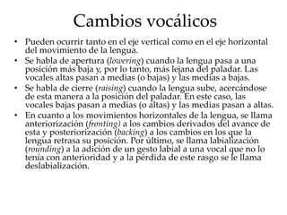 Cambios vocálicos
• Pueden ocurrir tanto en el eje vertical como en el eje horizontal
del movimiento de la lengua.
• Se habla de apertura (lowering) cuando la lengua pasa a una
posición más baja y, por lo tanto, más lejana del paladar. Las
vocales altas pasan a medias (o bajas) y las medias a bajas.
• Se habla de cierre (raising) cuando la lengua sube, acercándose
de esta manera a la posición del paladar. En este caso, las
vocales bajas pasan a medias (o altas) y las medias pasan a altas.
• En cuanto a los movimientos horizontales de la lengua, se llama
anteriorización (fronting) a los cambios derivados del avance de
esta y posteriorización (backing) a los cambios en los que la
lengua retrasa su posición. Por último, se llama labialización
(rounding) a la adición de un gesto labial a una vocal que no lo
tenía con anterioridad y a la pérdida de este rasgo se le llama
deslabialización.
 