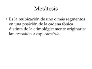 Metátesis
• Es la reubicación de uno o más segmentos
en una posición de la cadena fónica
distinta de la etimológicamente originaria:
lat. crocodilus > esp. cocodrilo.
 
