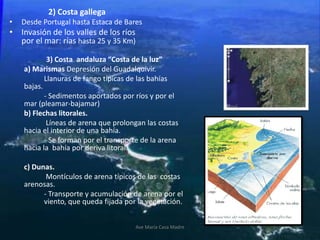 2) Costa gallega
• Desde Portugal hasta Estaca de Bares
• Invasión de los valles de los ríos
por el mar: rías hasta 25 y 35 Km)
3) Costa andaluza “Costa de la luz”
a) Marismas Depresión del Guadalquivir.
Llanuras de fango típicas de las bahías
bajas.
- Sedimentos aportados por ríos y por el
mar (pleamar-bajamar)
b) Flechas litorales.
Líneas de arena que prolongan las costas
hacia el interior de una bahía.
- Se forman por el transporte de la arena
hacia la bahía por deriva litoral.
c) Dunas.
Montículos de arena típicos de las costas
arenosas.
- Transporte y acumulación de arena por el
viento, que queda fijada por la vegetación.
Ave María Casa Madre
 