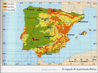 Ave María Casa Madre
 