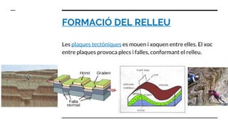 FORMACIÓ DEL RELLEU
Les plaques tectòniques es mouen i xoquen entre elles. El xoc
entre plaques provoca plecs i falles, conformant el relleu.
 