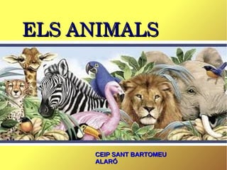 ELSANIMALS

CEIP SANT BARTOMEU
ALARÓ

 