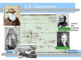 Thomas Malthus
Charles Lyell
Charles Darwin 2.5. Darwinisme
Lentitud
dels
processos
geològics
Lluita per la
supervivènciaBeagle
 