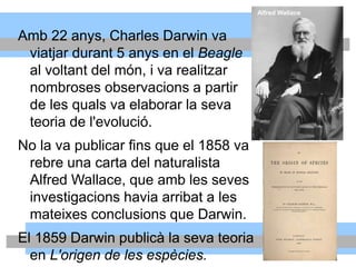 Amb 22 anys, Charles Darwin va
viatjar durant 5 anys en el Beagle
al voltant del món, i va realitzar
nombroses observacions a partir
de les quals va elaborar la seva
teoria de l'evolució.
No la va publicar fins que el 1858 va
rebre una carta del naturalista
Alfred Wallace, que amb les seves
investigacions havia arribat a les
mateixes conclusions que Darwin.
El 1859 Darwin publicà la seva teoria
en L'origen de les espècies.
Alfred Wallace
 