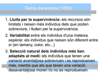 Teoria darwinista (1859):
1. Lluita per la supervivència: els recursos són
limitats i neixen més individus dels que poden
sobreviure, i lluiten per la supervivència.
2. Variabilitat entre els individus d'una mateixa
espècie: els individus que neixen són diferent entre
sí (en tamany, color, etc...)
3. Selecció natural dels individus més ben
adaptats al medi: els individus que tenen una
variació avantatjosa sobreviuen i es reprodueixen
més, mentre que els que tenen una variació
desavantatjosa moren i/o no es reprodueixen.
 