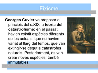Fixisme
Georges Cuvier va proposar a
principis del s.XIX la teoria del
catastrofisme: en el passat
havien existit espècies diferents
de les actuals, que no havien
variat al llarg del temps, que van
extingir-se degut a catàstrofes
naturals. Posteriorment, es van
crear noves espècies, també
immutables.
 
