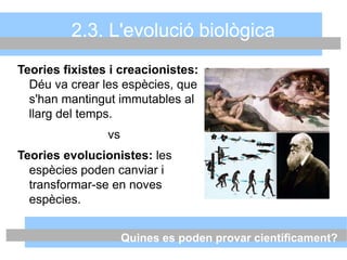 2.3. L'evolució biològica
Teories fixistes i creacionistes:
Déu va crear les espècies, que
s'han mantingut immutables al
llarg del temps.
vs
Teories evolucionistes: les
espècies poden canviar i
transformar-se en noves
espècies.
Quines es poden provar científicament?
 