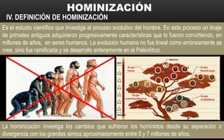 Es el estudio científico que investiga el proceso evolutivo del hombre. En este proceso un linaje
de primates antiguos adquirieron progresivamente características que lo fueron convirtiendo, en
millones de años, en seres humanos. La evolución humana no fue lineal como erróneamente se
cree, sino fue ramificada y se desarrollo enteramente en el Paleolítico.
IV. DEFINICIÓN DE HOMINIZACIÓN
La hominización investiga los cambios que sufrieron los homínidos desde su separación o
divergencia con los grandes simios aproximadamente entre 5 y 7 millones de años.
 