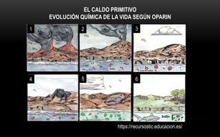 https://recursostic.educacion.es/
EL CALDO PRIMITIVO
EVOLUCIÓN QUÍMICA DE LA VIDA SEGÚN OPARIN
2
1
4 5
3
6
 