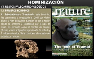 7.1. PRIMEROS HOMININOS:
A. Sahelanthropus Tchadensis: este hominino
fue descubierto e investigado el 2001 por Michel
Brunet y Alan Beauvilain. Sahelan es por la región
donde se encontró y Tchadensis por el país de
Chad. Es conocido como el hombre de Toumaï
(Tumai) y tiene antigüedad aproximada de entre 6 y
7 millones de años. Se le considera el ancestro del
ardipitecus ramidus.
VII. RESTOS PALEOANTROPOLÓGICOS
 