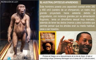 B) AUSTRALOPITECUS AFARENSIS:
Este hominino poseía una capacidad craneal entre 380
y 450 cm3 (cerebro de un chimpancé), un rostro muy
grande proyectado hacia adelante debido al
prognatismo, con incisivos grandes por su alimentación
frugívora, tenia un dimorfismo sexual muy marcado,
además de tener las dedos (manos y pies) curvados que
permite pensar que los árboles eran su medio habitual,
pese a ser bípedos.
Portada del Natgeo con el descubrimiento de la niña de Selam. Al lado el
paleontólogo etíope Zeresenay Alemseged con el craneo dik-1/1 (niña de selam)
RECREACIÓN DE LUCY.
 