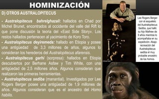 D) OTROS AUSTRALOPITECUS
- Australopitecus bahrelghazali: hallados en Chad por
Michel Brunet, encontrados al occidente del valle del Rift lo
que pone discusión la teoria del «East Side Story». Los
restos hallados pertenecen al yacimiento de Koro Toro.
- Australopitecus deyiremeda: hallado en Etiopia y posee
una antigüedad de 3,3 millones de años, algunos lo
consideran los herederos del Australopitecus afarensis.
- Australopitecus garhi (sorpresa): hallados en Etiopia
descubiertos por Berhane Asfaw y Tim White, con una
antigüedad de 2,5 millones años. Algunos consideran que
realizaron las primeras herramientas.
- Australopitecus sediba (manantial). Investigados por Lee
Rogers Berger posee una antigüedad de 1,9 millones de
años. Algunos consideran que es el ancestro del Homo
habilis.
Lee Rogers Berger
con el esqueleto
del Australopitecus
Sediba, que halló
su hijo Mathew de
9 años mientras lo
acompañaba en su
expedición. Abajo
recreación del
Australopitecus
sediba el muy
probable ancestro
de los homos.
 