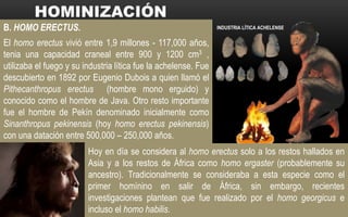 B. HOMO ERECTUS.
El homo erectus vivió entre 1,9 millones - 117,000 años,
tenia una capacidad craneal entre 900 y 1200 cm3 ,
utilizaba el fuego y su industria lítica fue la achelense. Fue
descubierto en 1892 por Eugenio Dubois a quien llamó el
Pithecanthropus erectus (hombre mono erguido) y
conocido como el hombre de Java. Otro resto importante
fue el hombre de Pekín denominado inicialmente como
Sinanthropus pekinensis (hoy homo erectus pekinensis)
con una datación entre 500,000 – 250,000 años.
Hoy en día se considera al homo erectus solo a los restos hallados en
Asia y a los restos de África como homo ergaster (probablemente su
ancestro). Tradicionalmente se consideraba a esta especie como el
primer homínino en salir de África, sin embargo, recientes
investigaciones plantean que fue realizado por el homo georgicus e
incluso el homo habilis.
INDUSTRIA LÍTICA ACHELENSE
 