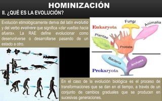II. ¿QUÉ ES LA EVOLUCIÓN?
En el caso de la evolución biológica es el proceso de
transformaciones que se dan en el tiempo, a través de un
conjunto de cambios graduales que se producen en
sucesivas generaciones.
Evolución etimológicamente deriva del latín evolutio
y del verbo evolvere que significa «dar vueltas hacia
afuera». La RAE define evolucionar como
desenvolverse o desarrollarse pasando de un
estado a otro.
 