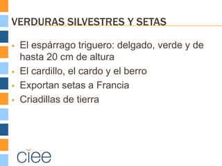 VERDURAS SILVESTRES Y SETAS

   El espárrago triguero: delgado, verde y de
    hasta 20 cm de altura
   El cardillo, el cardo y el berro
   Exportan setas a Francia
   Criadillas de tierra
 