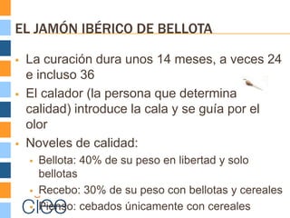 EL JAMÓN IBÉRICO DE BELLOTA

   La curación dura unos 14 meses, a veces 24
    e incluso 36
   El calador (la persona que determina la
    calidad) introduce la cala y se guía por el
    olor
   Noveles de calidad:
       Bellota: 40% de su peso en libertad y solo
        bellotas
       Recebo: 30% de su peso con bellotas y cereales
       Pienso: cebados únicamente con cereales
 
