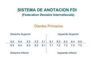 SISTEMA DE ANOTACION FDI
(Federation Dentaire Internationale)
Dientes Primarios
Derecho Superior Izquierdo Superior
5.5 5.4 5.3 5.2 5.1 6.1 6.2 6.3 6.4 6.5
8.5 8.4 8.3 8.2 8.1 7.1 7.2 7.3 7.4 7.5
Derecho Inferior Izquierdo Inferior
 