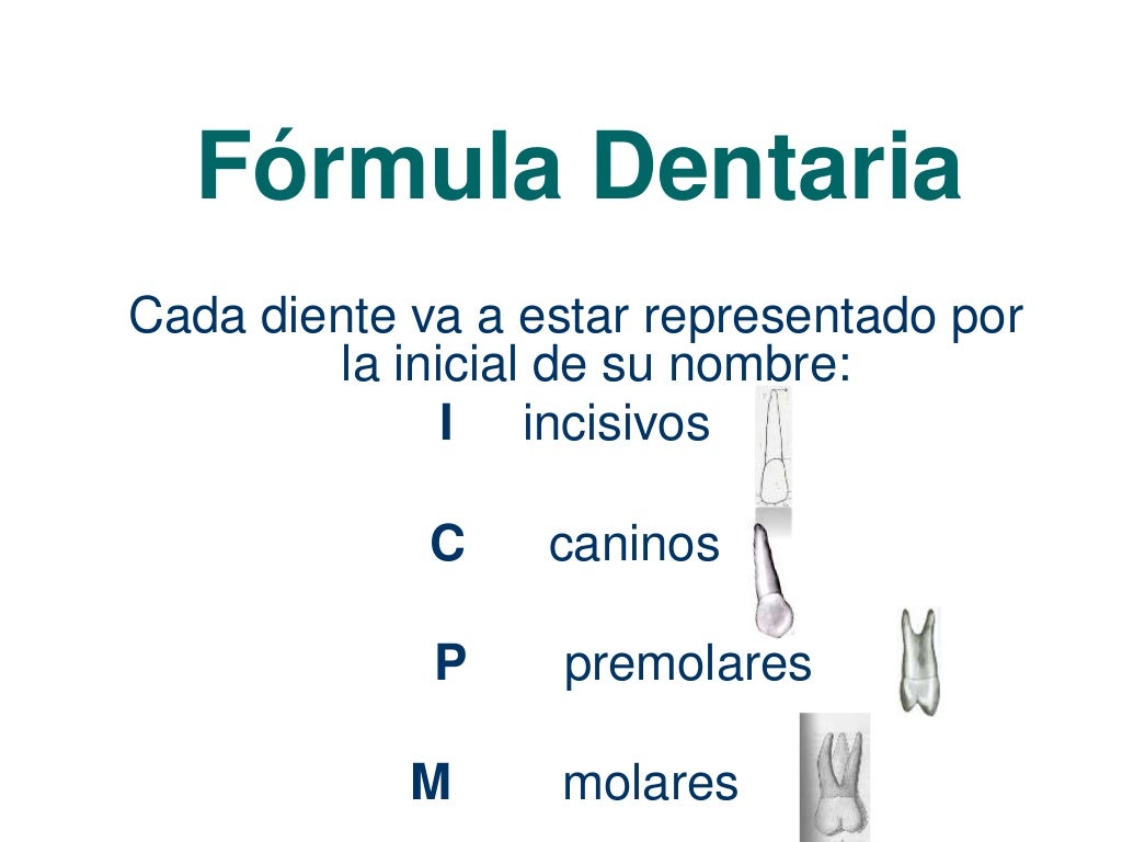 Formula Dental