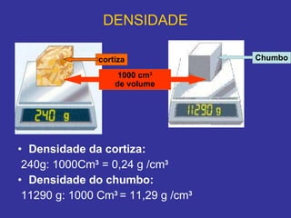 DENSIDADE Densidade da cortiza: 240g: 1000Cm 3  = 0,24 g /cm 3 Densidade do chumbo: 11290 g: 1000 Cm 3  = 11,29 g /cm 3 1000 cm 3 de volume cortiza Chumbo 