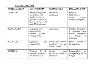 POLISACÁRIDOS
POLISACÁRIDO   COMPOSICIÓN             ESTRUCTURA             LOCALIZA-CIÓN
ALMIDÓN        Amilosa: -glucosa       Helicoidal             Semillas,
               con enlaces (1,4)       ramificada             tubérculos...
               Amilopectina: -                                como          reserva
               glucosa con enlaces                            energética vegetal
               (1,4) y uniones (1,6)
               cada 25-30 glucosas

GLUCÓGENO       -glucosa con           ramificada             Células musculares
               enlaces (1,4) y                                y hepáticas como
               uniones (1,6) cada                             reserva energética
               6-10 glucosas                                  de     hongos    y
                                                              animales
CELULOSA        -glucosa        con    Lineal con cadenas     Pared celular de
               enlaces (1,4)           paralelas en un        los vegetales
                                       mismo plano

QUITINA        Polímero de N-          Lineal          con    Exoesqueleto    de
               acetilglucosa-mina      estructura similar a   artrópodos y PC de
               con enlaces (1,4)       la celulosa            hongos
 