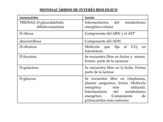 MONOSACÁRIDOS DE INTERÉS BIOLÓGICO

monosacáridos                      función
TRIOSAS: D-gliceraldehído          Intermediarios     del    metabolismo
         dihidroxiacetona          energético celular
D-ribosa                           Componente del ARN y el ATP

desoxirribosa                      Componente del ADN
D-ribulosa                         Molécula que       fija   el   CO2   en
                                   fotosíntesis
D-fructosa                         Se encuentra libre en frutos y semen.
                                   Forma parte de la sacarosa
D-galactosa                        Se encuentra libre en la leche. Forma
                                   parte de la lactosa
D-glucosa                          Se encuentra libre en citoplasma,
                                   plasma sanguíneo, frutas. Molécula
                                   energética      más       utilizada.
                                   Intermediario    del   metabolismo
                                   energético.     Componente       de
                                   polisacáridos más comunes
 