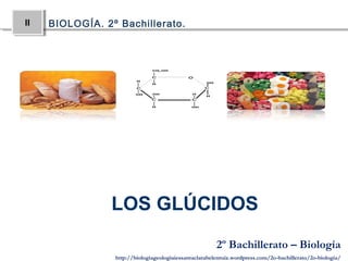 IIII BIOLOGÍA. 2º Bachillerato.
2º Bachillerato – Biología
http://biologiageologiaiessantaclarabelenruiz.wordpress.com/2o-bachillerato/2o-biologia/
LOS GLÚCIDOS
 