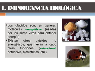 1. IMPORTANCIA BIOLÓGICA
Los glúcidos son, en general,
moléculas energéticas (usadas
por los seres vivos para obtener
energía).
Existen otros glúcidos no
energéticos, que llevan a cabo
otras funciones (estructural,
defensiva, biosintética, etc.)
Los glúcidos son, en general,
moléculas energéticas (usadas
por los seres vivos para obtener
energía).
Existen otros glúcidos no
energéticos, que llevan a cabo
otras funciones (estructural,
defensiva, biosintética, etc.)
 