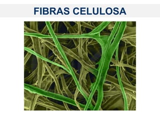 FIBRAS CELULOSA
 