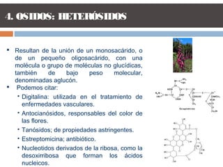 4. OSIDOS: HETERÓSIDOS
 Resultan de la unión de un monosacárido, o
de un pequeño oligosacárido, con una
molécula o grupo de moléculas no glucídicas,
también de bajo peso molecular,
denominadas aglucón.
 Podemos citar:
 Digitalina: utilizada en el tratamiento de
enfermedades vasculares.
 Antocianósidos, responsables del color de
las flores.
 Tanósidos; de propiedades astringentes.
 Estreptomicina; antibiótico.
 Nucleotidos derivados de la ribosa, como la
desoxirribosa que forman los ácidos
nucleicos.
 