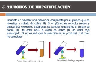  Consiste en calentar una disolución compuesta por el glúcido que se
investiga y sulfato de cobre (II). Si el glúcido es reductor (mono y
disacáridos excepto la sacarosa), se oxidará, reduciendo al sulfato de
cobre (II), de color azul, a óxido de cobre (I), de color rojo
anaranjado. Si no es reductor, la reacción no se producirá y el color
no cambiará.
5. MÉTODOS DE IDENTIFICACIÓN.
 