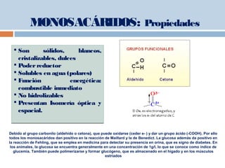  Son sólidos, blancos,
cristalizables, dulces
 Poderreductor
 Solubles en agua (polares)
 Función energética:
combustible inmediato
 No hidrolizables
 Presentan Isomería óptica y
espacial.
 Son sólidos, blancos,
cristalizables, dulces
 Poderreductor
 Solubles en agua (polares)
 Función energética:
combustible inmediato
 No hidrolizables
 Presentan Isomería óptica y
espacial.
MONOSACÁRIDOS: Propiedades
Debido al grupo carbonilo (aldehído o cetona), que puede oxidarse (ceder e- ) y dar un grupo ácido (-COOH). Por ello
todos los monosacáridos dan positivo en la reacción de Maillard y la de Benedict. La glucosa además da positivo en
la reacción de Fehling, que se emplea en medicina para detectar su presencia en orina, que es signo de diabetes. En
los animales, la glucosa se encuentra generalmente en una concentración de 1g/l, lo que se conoce como índice de
glucemia. También puede polimerizarse y formar glucógeno, que es almacenado en el hígado y en los músculos
estriados
 