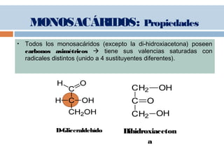  Todos los monosacáridos (excepto la di-hidroxiacetona) poseen
carbonos asimétricos  tiene sus valencias saturadas con
radicales distintos (unido a 4 sustituyentes diferentes).
CH2 OH
C O
CH2 OH
D-Gliceraldehído Dihidroxiaceton
a
MONOSACÁRIDOS: Propiedades
 
