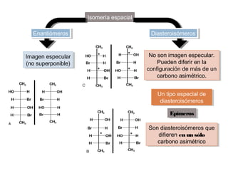 Isomería espacial
Imagen especular
(no superponible)
Imagen especular
(no superponible)
EpímerosEpímeros
Son diasteroisómeros que
difieren en un sólo
carbono asimétrico
Son diasteroisómeros que
difieren en un sólo
carbono asimétrico
No son imagen especular.
Pueden diferir en la
configuración de más de un
carbono asimétrico.
No son imagen especular.
Pueden diferir en la
configuración de más de un
carbono asimétrico.
Un tipo especial de
diasteroisómeros
Un tipo especial de
diasteroisómeros
EnantiómerosEnantiómeros DiasteroisómerosDiasteroisómeros
 