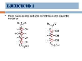 EJERCICIO 1
 Indica cuales son los carbonos asimétricos de las siguientes
moléculas
 
