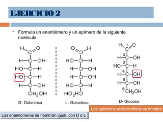 EJERCICIO 2
 Formula un enantiómero y un epímero de la siguiente
molécula
D- Galactosa L- Galactosa D- Glucosa
Los enantiómeros se nombran igual, con D o LLos enantiómeros se nombran igual, con D o L
Los epímeros reciben diferente nombre
 