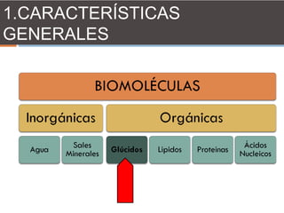 1.CARACTERÍSTICAS
GENERALES
 