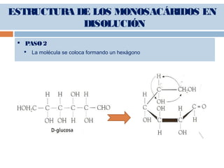  PASO 2
 La molécula se coloca formando un hexágono
ESTRUCTURA DE LOS MONOSACÁRIDOS EN
DISOLUCIÓN
 