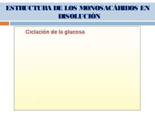 ESTRUCTURA DE LOS MONOSACÁRIDOS EN
DISOLUCIÓN
 