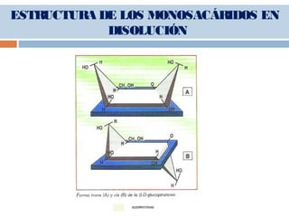 ESTRUCTURA DE LOS MONOSACÁRIDOS EN
DISOLUCIÓN
 