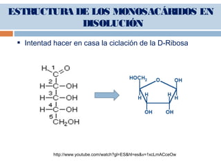  Intentad hacer en casa la ciclación de la D-Ribosa
http://www.youtube.com/watch?gl=ES&hl=es&v=1xcLmACceOw
ESTRUCTURA DE LOS MONOSACÁRIDOS EN
DISOLUCIÓN
 