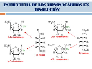 ESTRUCTURA DE LOS MONOSACÁRIDOS EN
DISOLUCIÓN
 