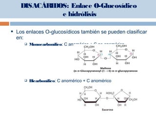 Los enlaces O-glucosídicos también se pueden clasificar
en:
 Monocarbonílico: C anomérico + C no anomérico
 Dicarbonílico: C anomérico + C anomérico
DISACÁRIDOS: Enlace O-Glucosídico
e hidrólisis
 