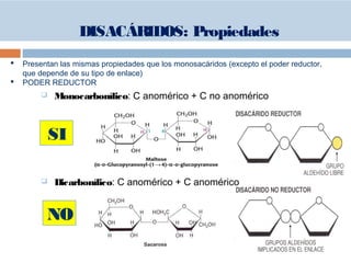  Presentan las mismas propiedades que los monosacáridos (excepto el poder reductor,
que depende de su tipo de enlace)
 PODER REDUCTOR
 Monocarbonílico: C anomérico + C no anomérico
 Dicarbonílico: C anomérico + C anomérico
SI
NO
DISACÁRIDOS: Propiedades
 