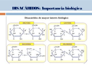 DISACÁRIDOS: Importancia biológica
 