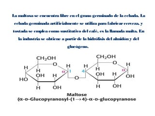 La maltosa se encuentra libre en el grano germinado de la cebada. La
cebada germinada artificialmente se utiliza para fabricarcerveza, y
tostada se emplea como sustitutivo del café, es la llamada malta. En
la industria se obtiene a partirde la hidrólisis del almidón y del
glucógeno.
 
